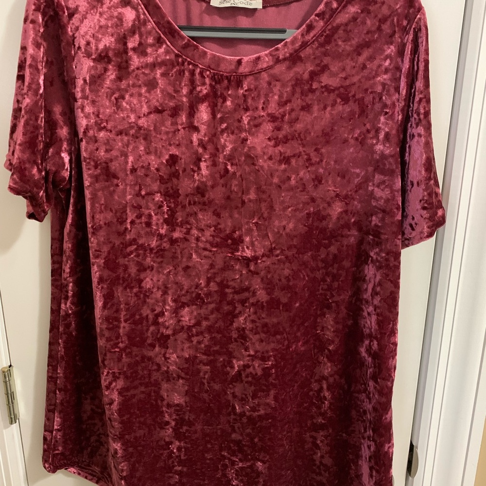 NWT Crushed Velvet Top